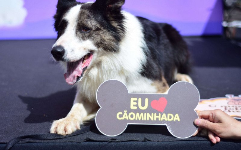 Evento será no dia 17 de agosto, a partir das 9 horas | abc+