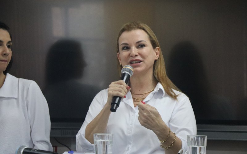 Ex-prefeita de Novo Hamburgo, Fátima Daudt confirma pré-candidatura a deputada federal | abc+