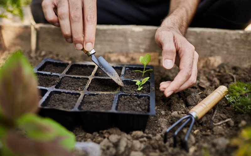 Seu pai é amante de jardinagem? Veja dicas para não errar no presente | abc+