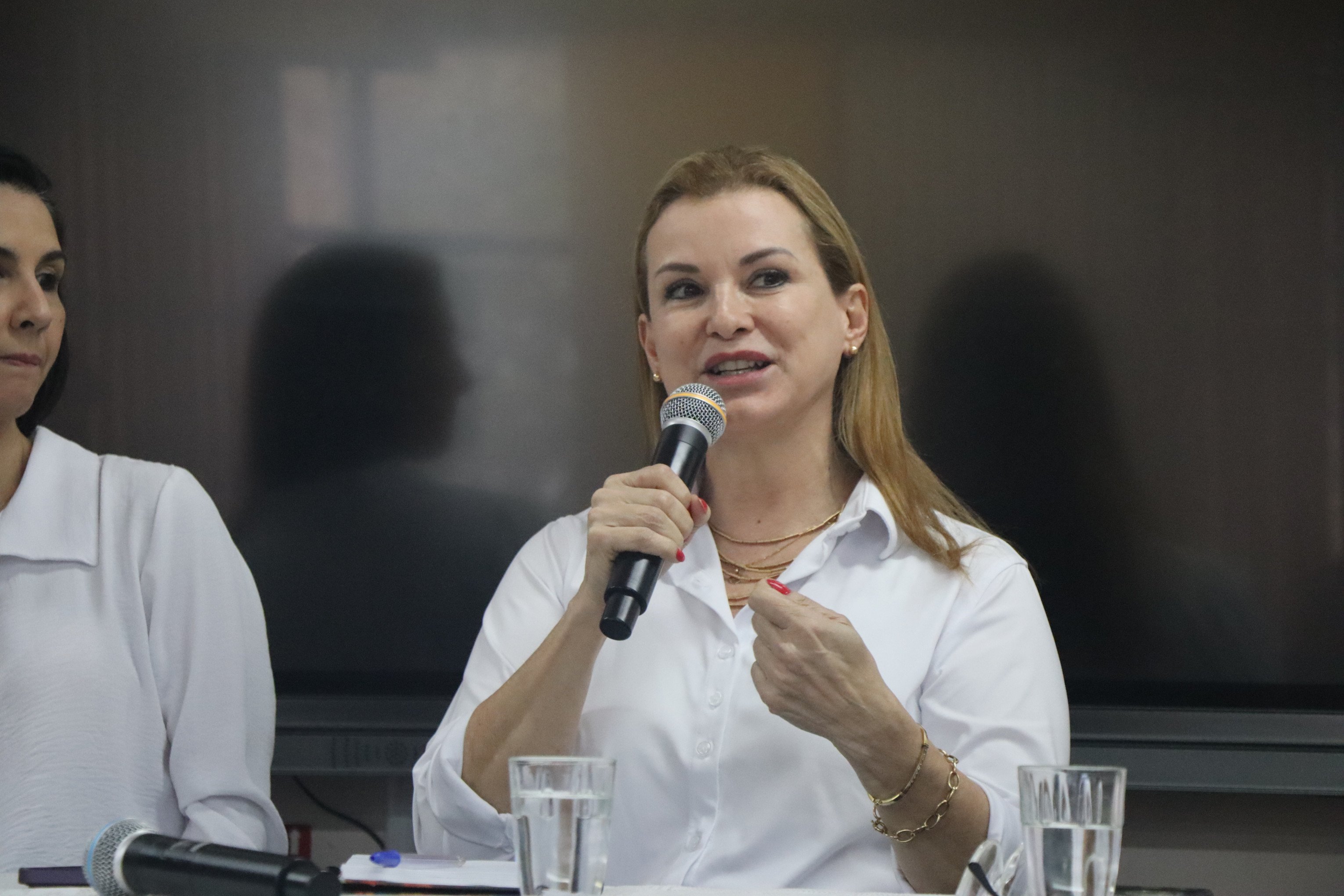 Ex-prefeita de Novo Hamburgo, Fátima Daudt confirma pré-candidatura a deputada federal