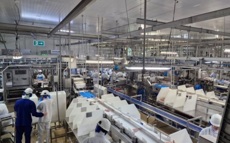 Justiça determina que BRF garanta privacidade de trabalhadores durante troca de uniformes em Marau | abc+