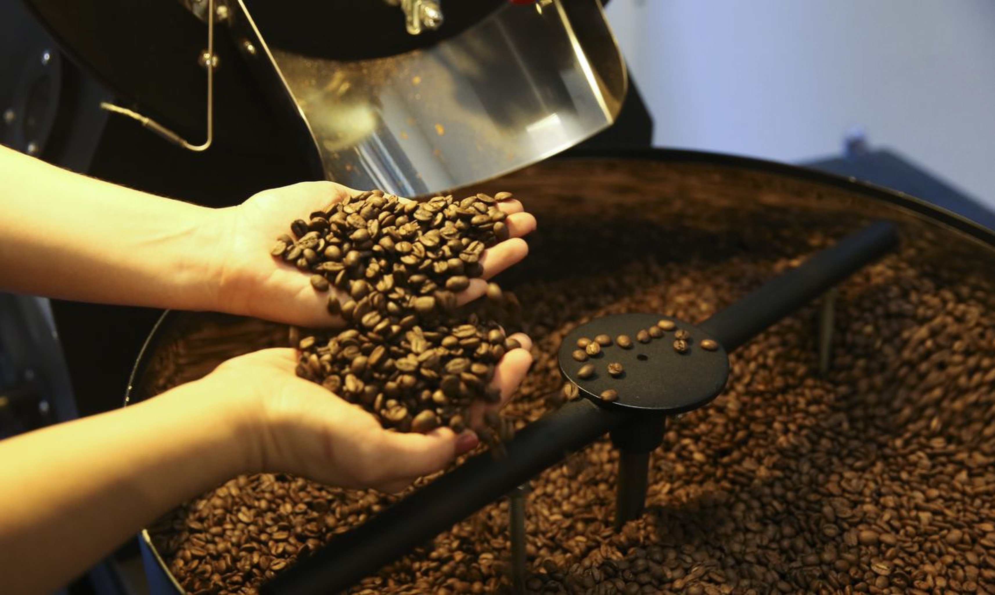 Queda no preço do café: IBGE revela primeiro recuo após 18 meses de alta