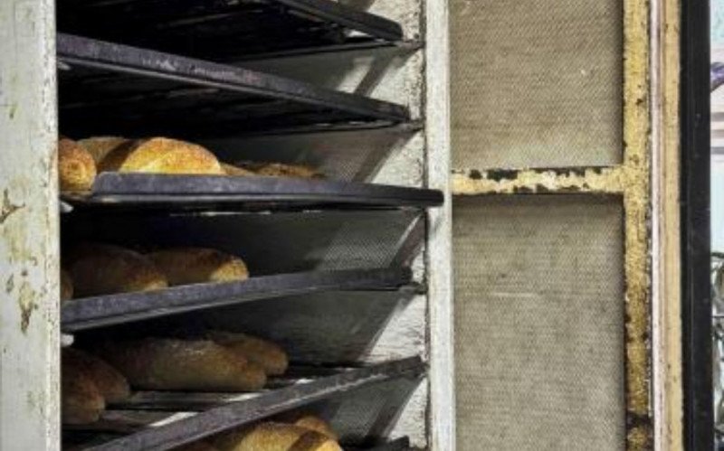 Padaria em Porto Alegre é interditada após denúncia de falta de higiene | abc+