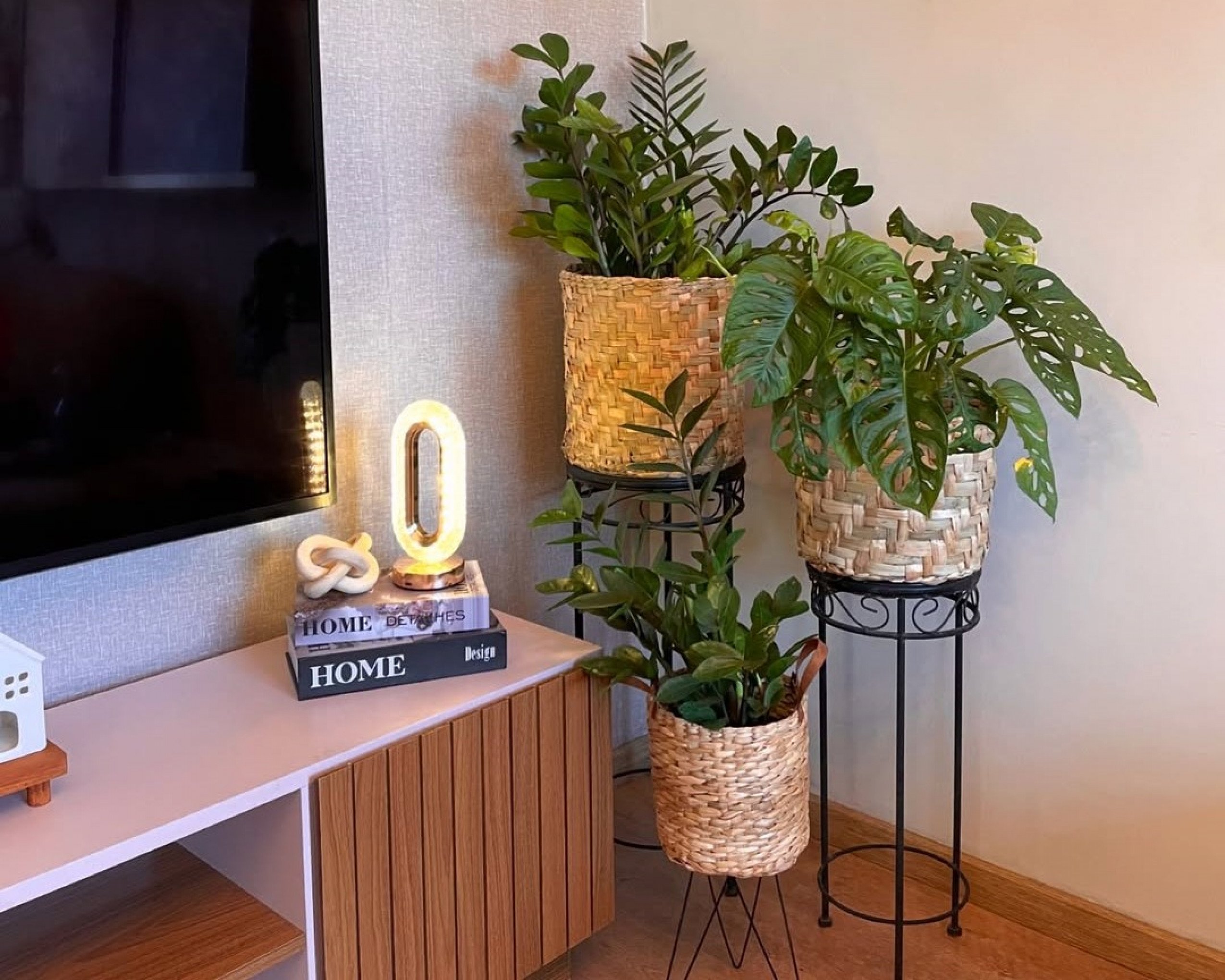 Decoração com plantas: o segredo para ter um lar mais fresco e acolhedor
