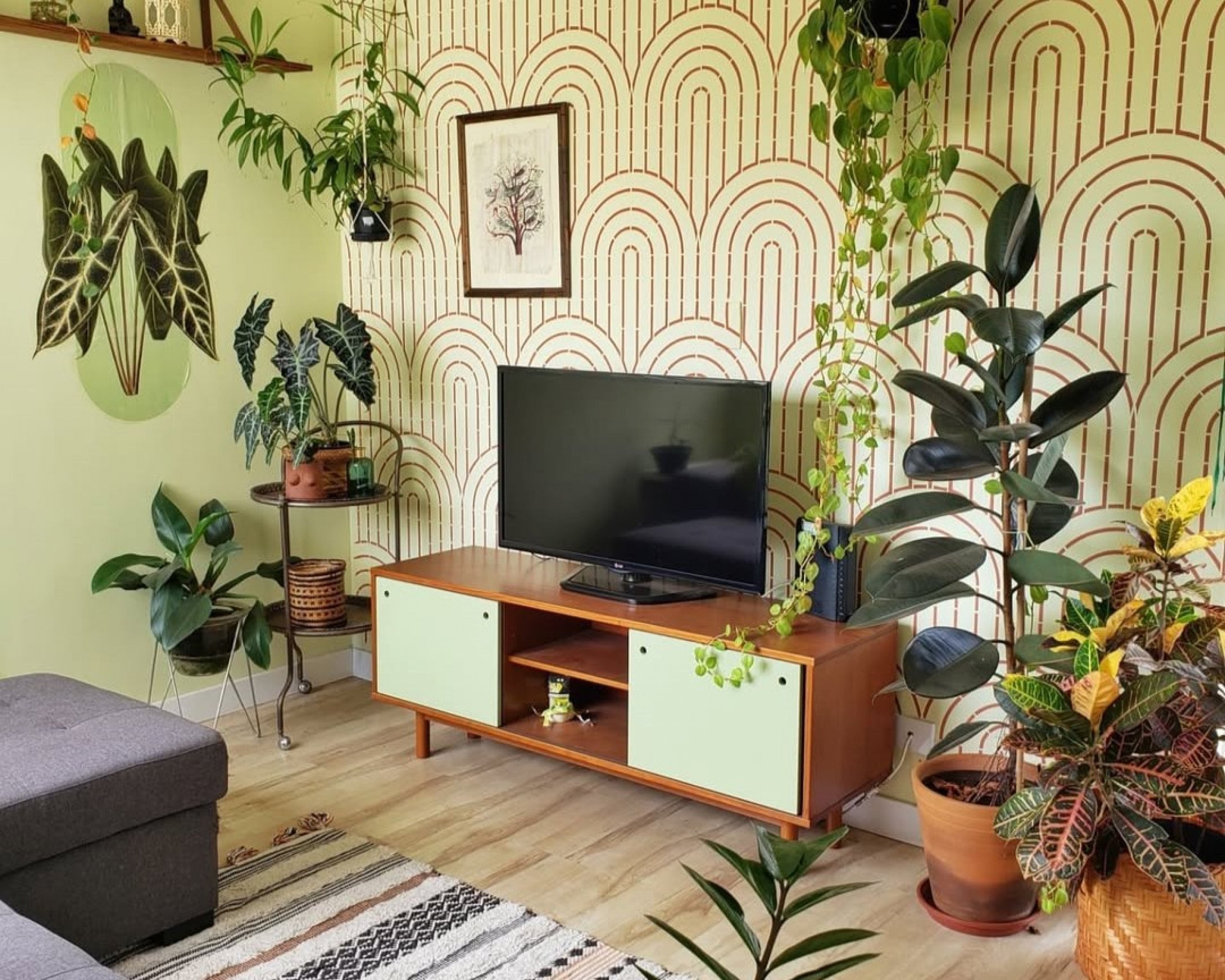 Sala com diversas espécies de plantas