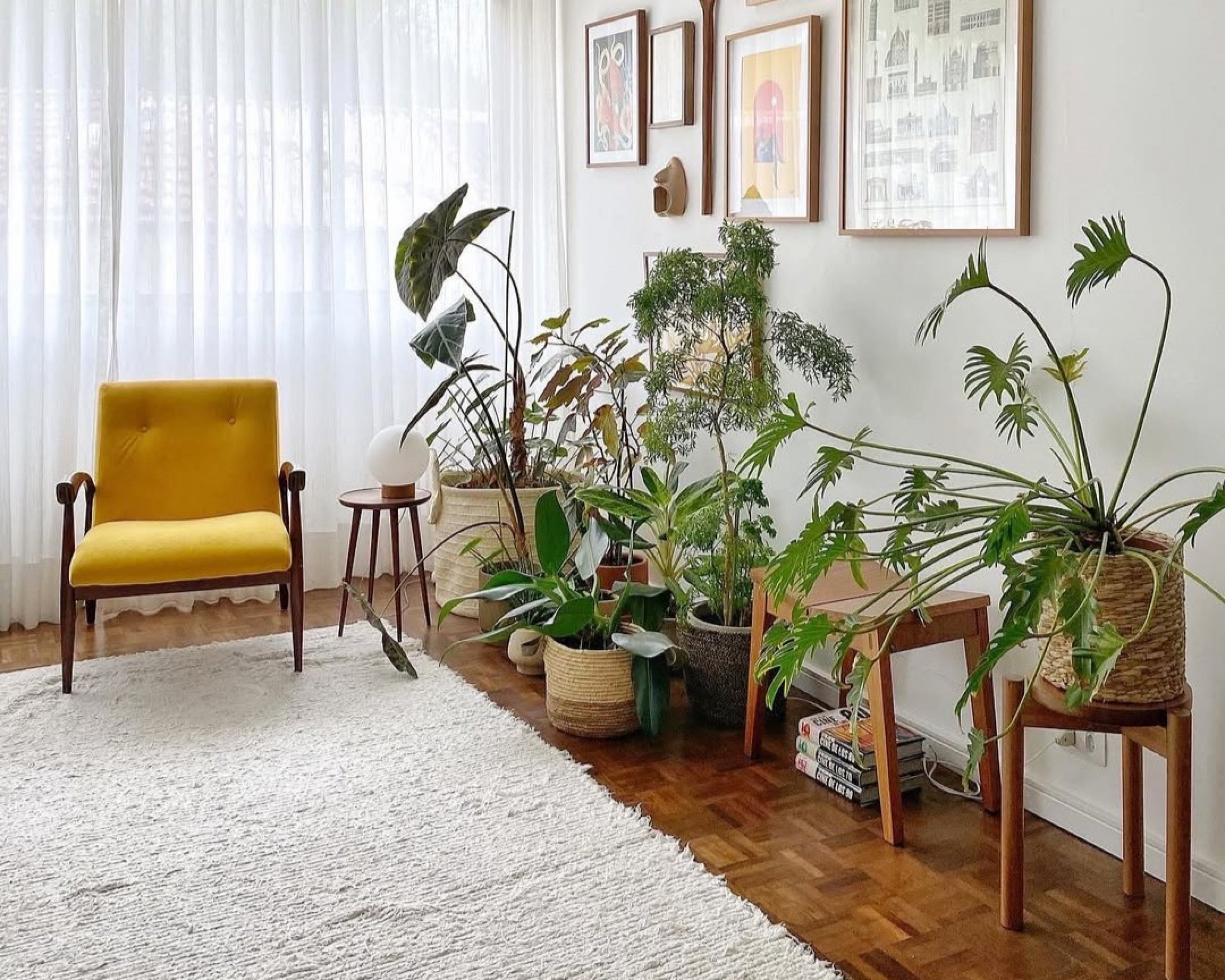 Ambiente com plantas