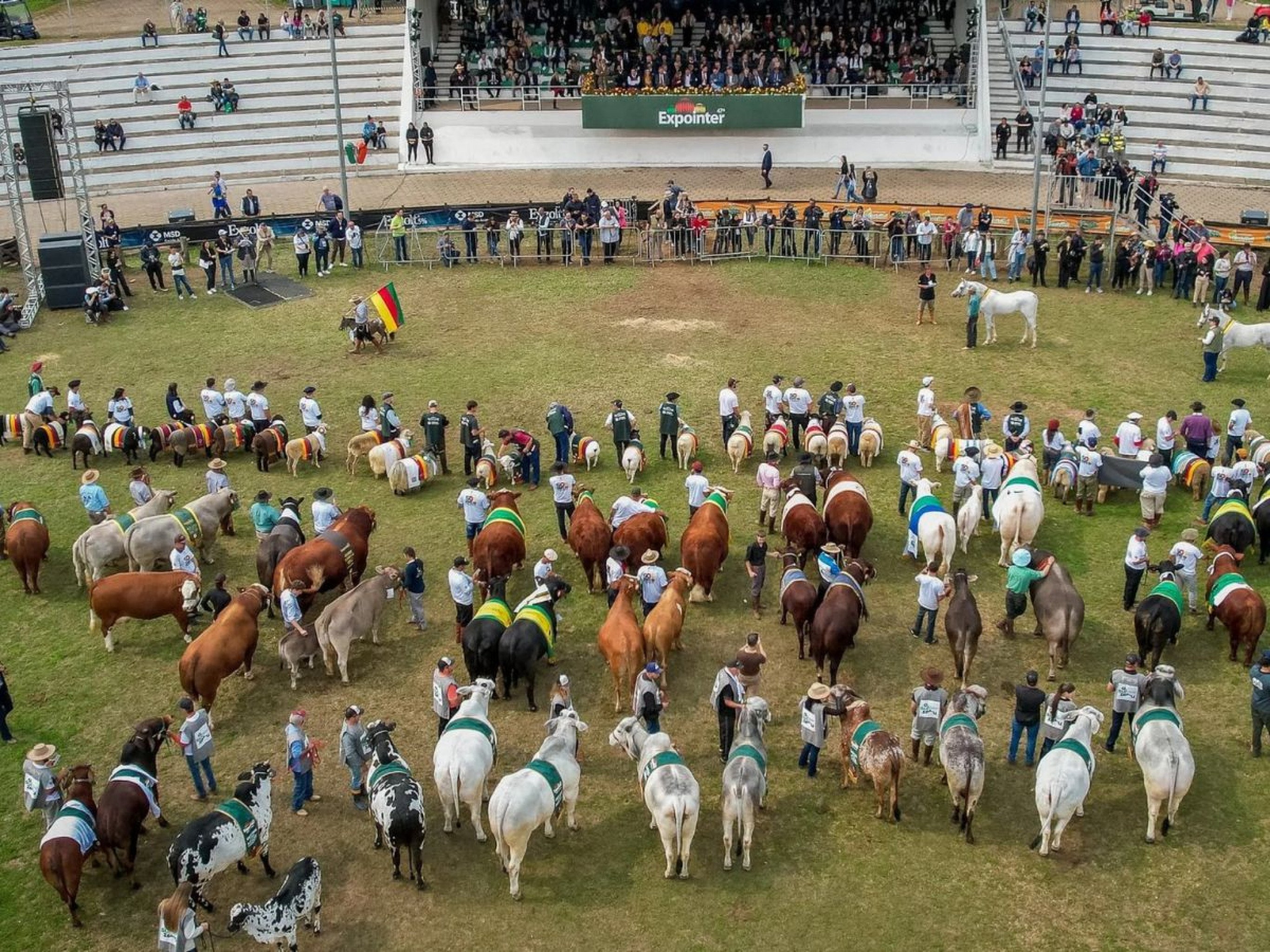 48ª Expointer já tem mais de 5 mil animais inscritos