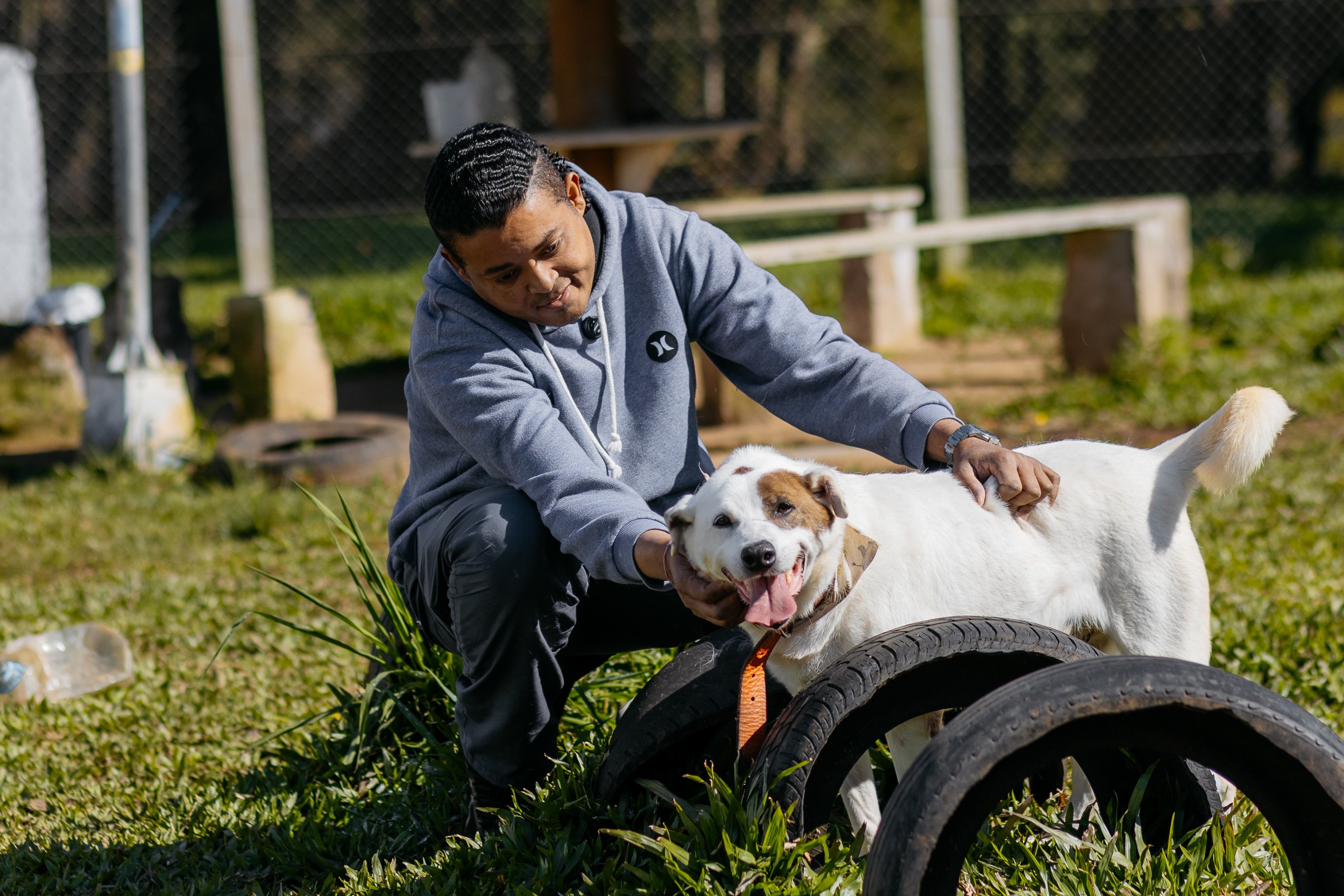 Mais um reencontro entre tutor e cão no Abrigo Palmira Gobbi