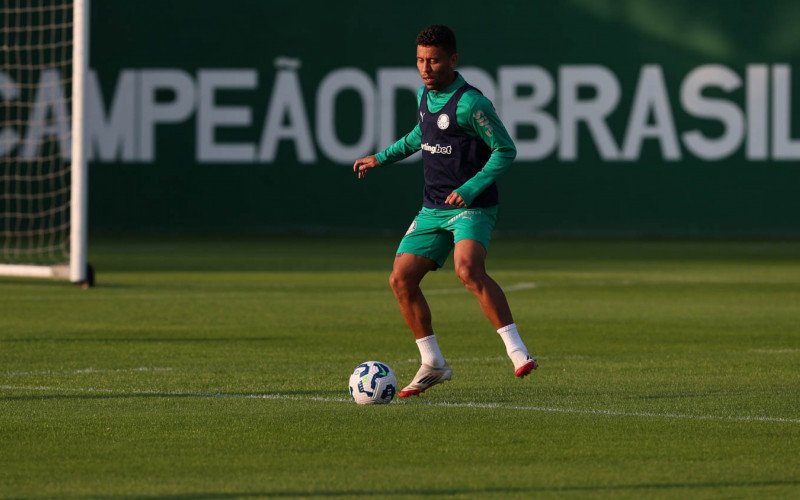 Marcos Rocha deixa Palmeiras para assinar com o Grêmio | abc+