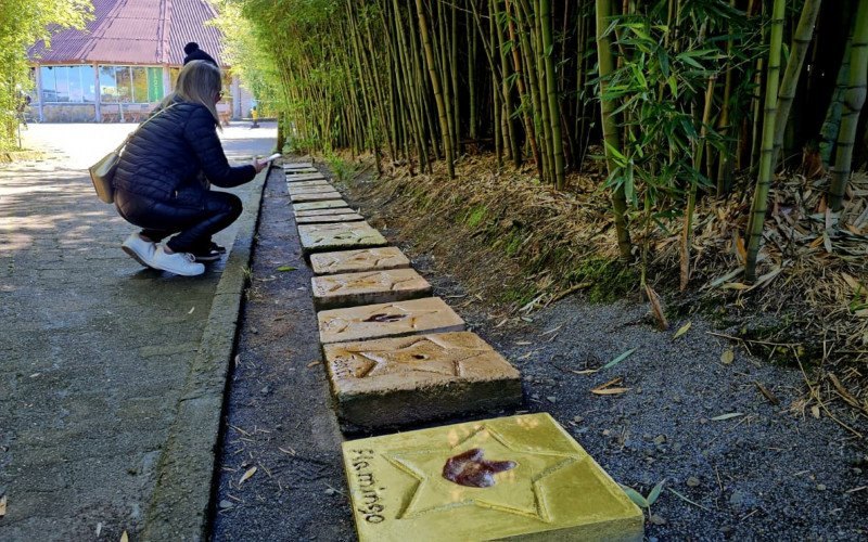 Zoológico de Gramado entra na brincadeira e eterniza pata de flamingo na Calçada da Fauna