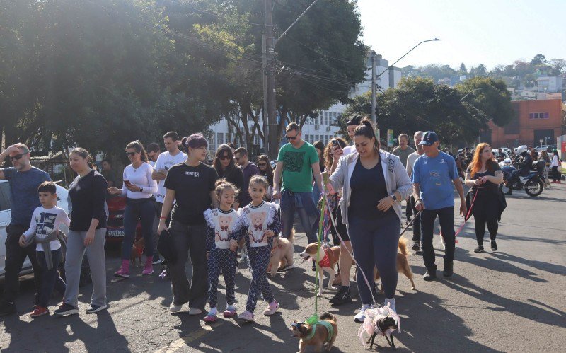 Cãominhada Rissul