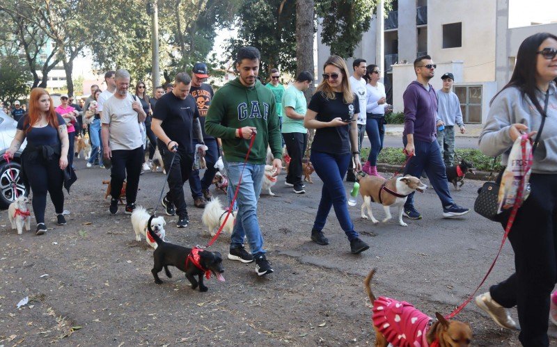 Cãominhada Rissul | abc+