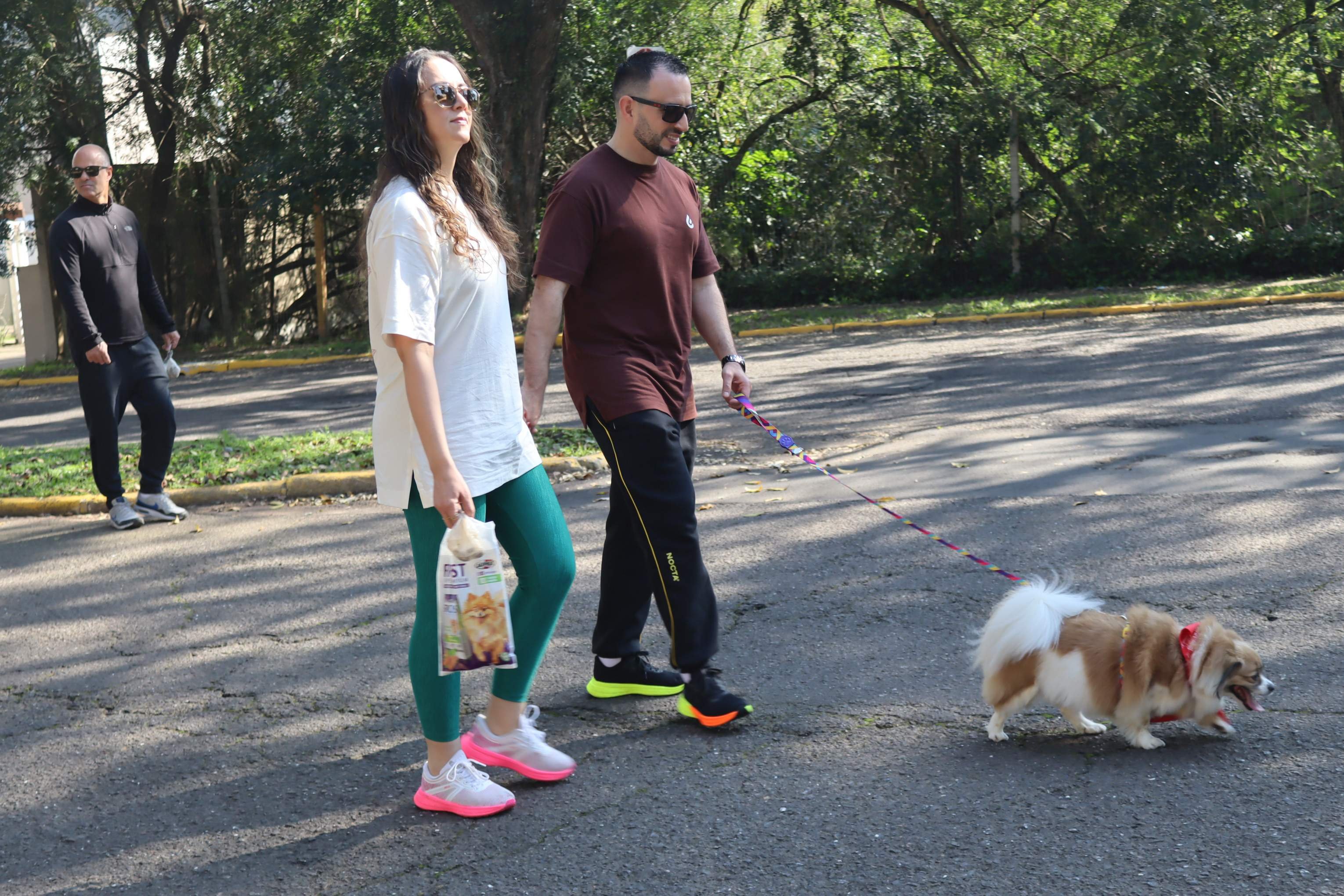 VÍDEO: Cãominhada reúne dezenas de pets em passeio pelas ruas de Novo Hamburgo