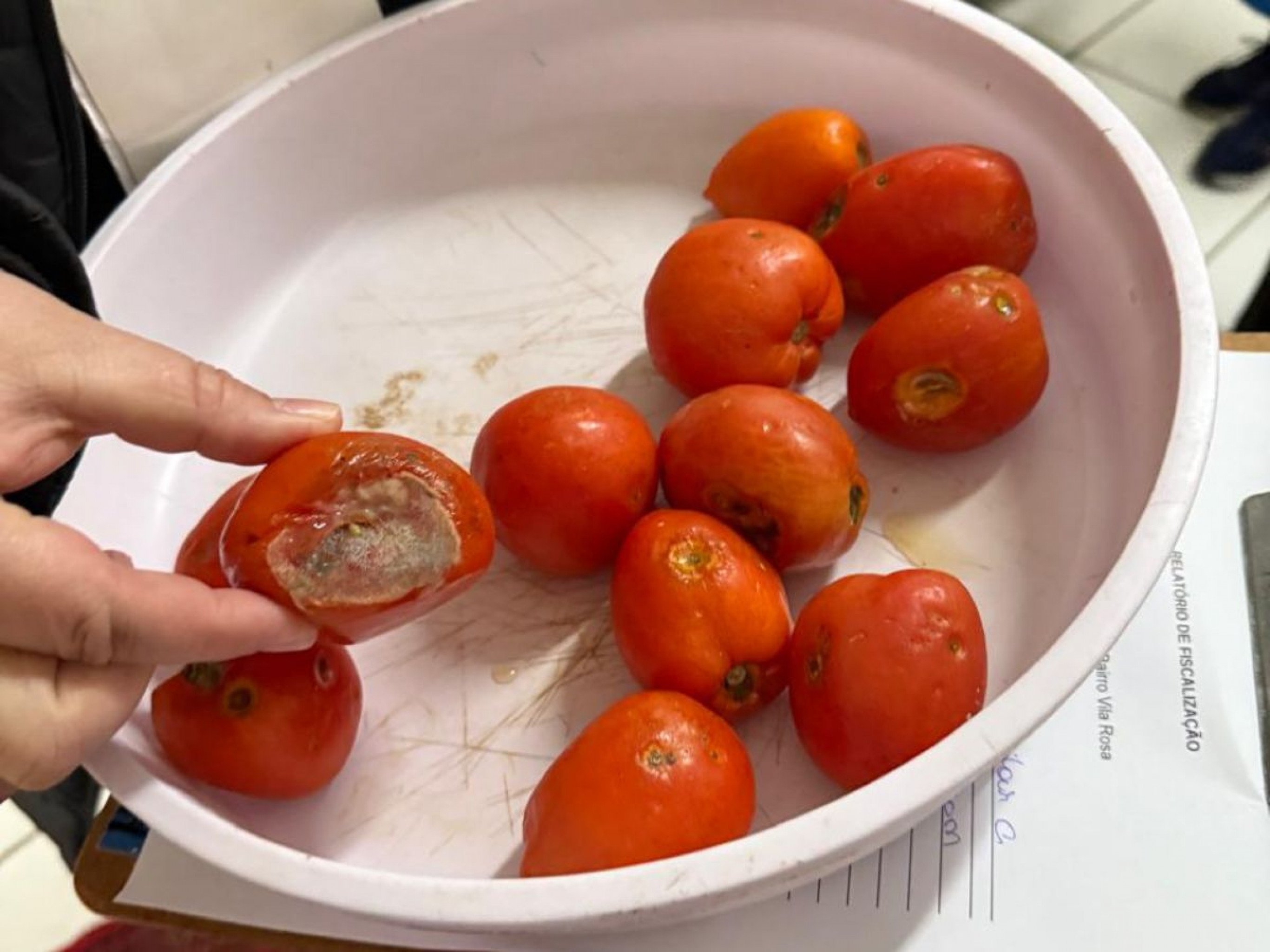 Alimentos estragados e cheiro forte de urina: Mais um lar de idosos é interditado em Novo Hamburgo