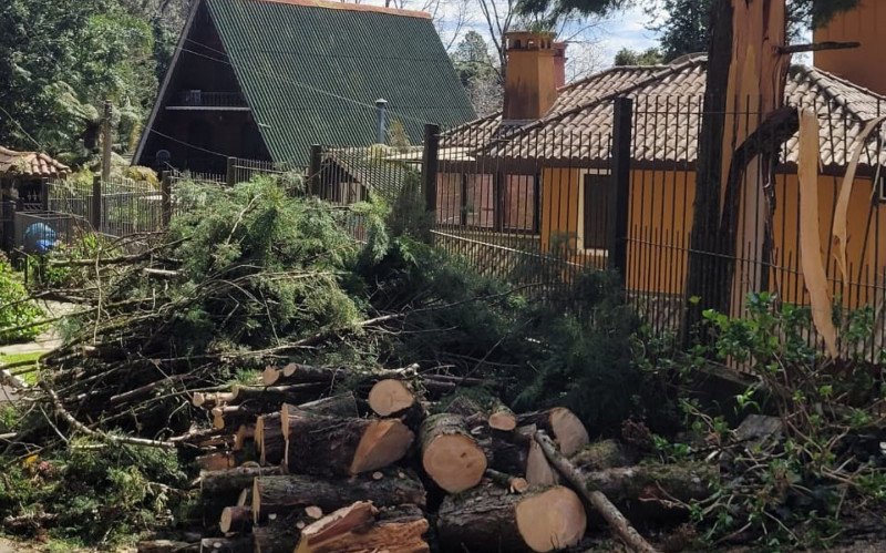 Queda de árvores em Gramado