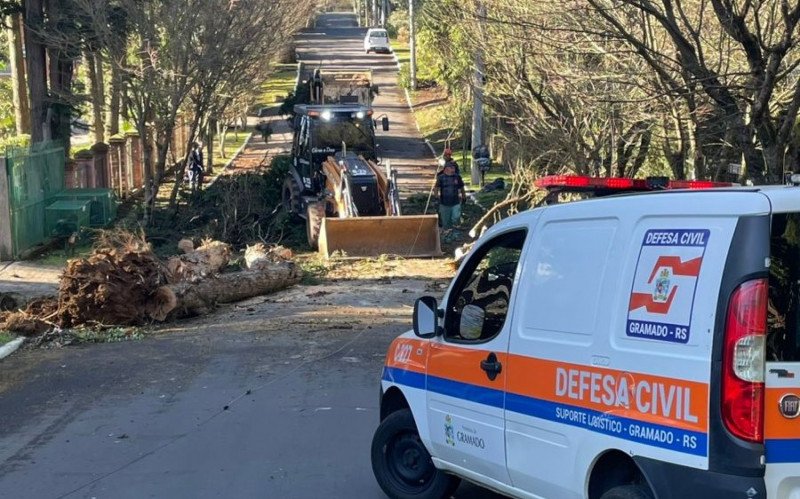 Defesa Civil atende ocorrência devido ao forte vento em Gramado