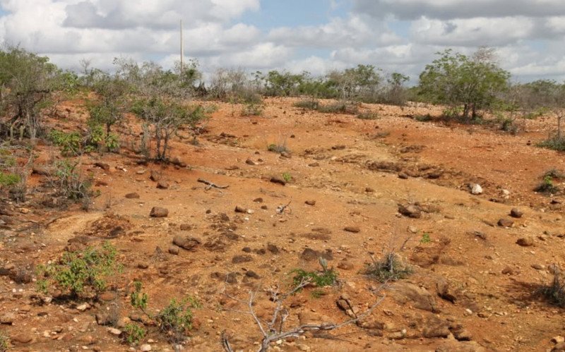 Desertificação já se tornou um dos maiores problemas ambientais enfrentados pelo Brasil, conforme o Insa | abc+