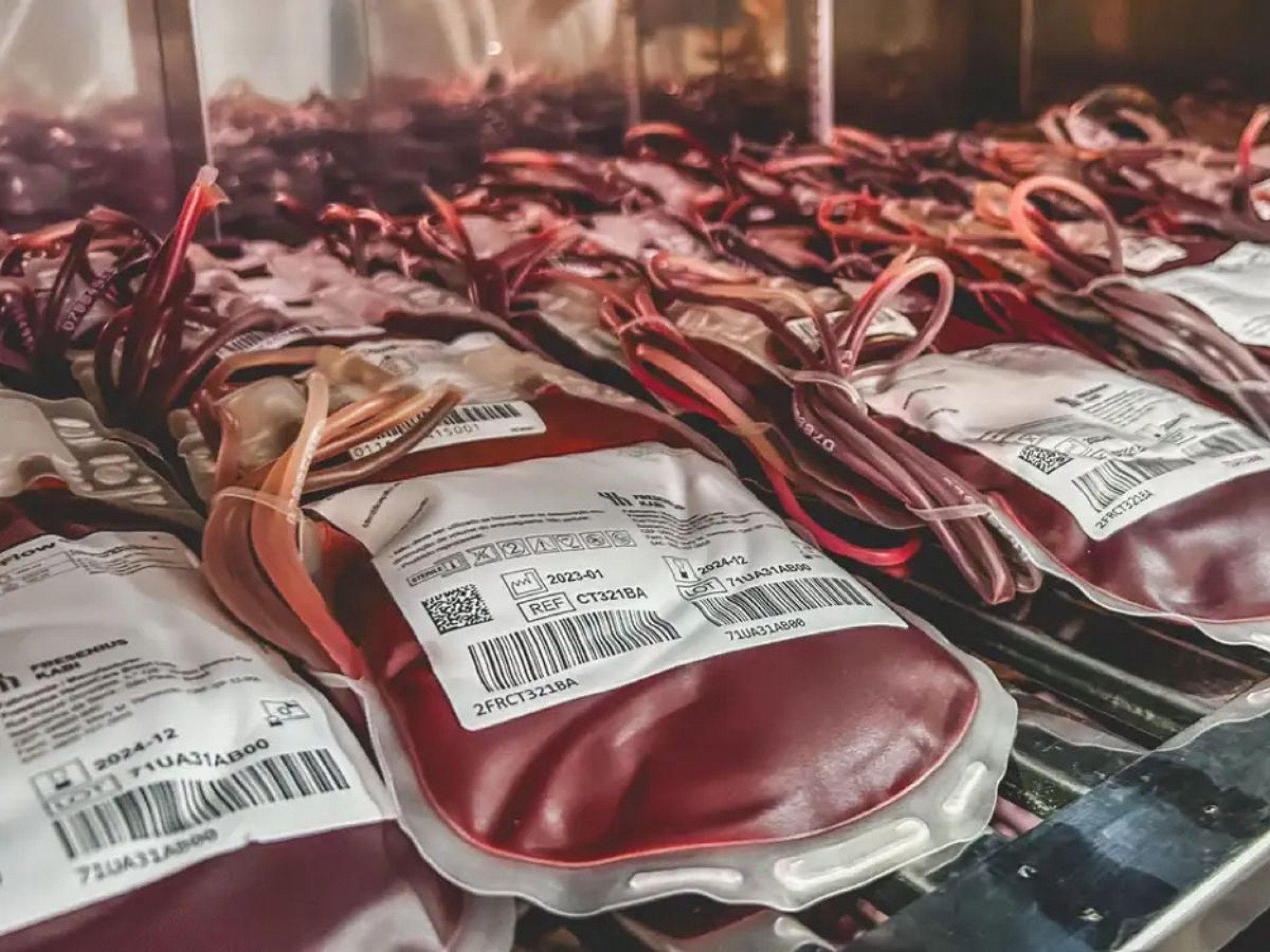 Pacientes podem recusar transfusão de sangue por motivos religiosos? STF toma decisão
