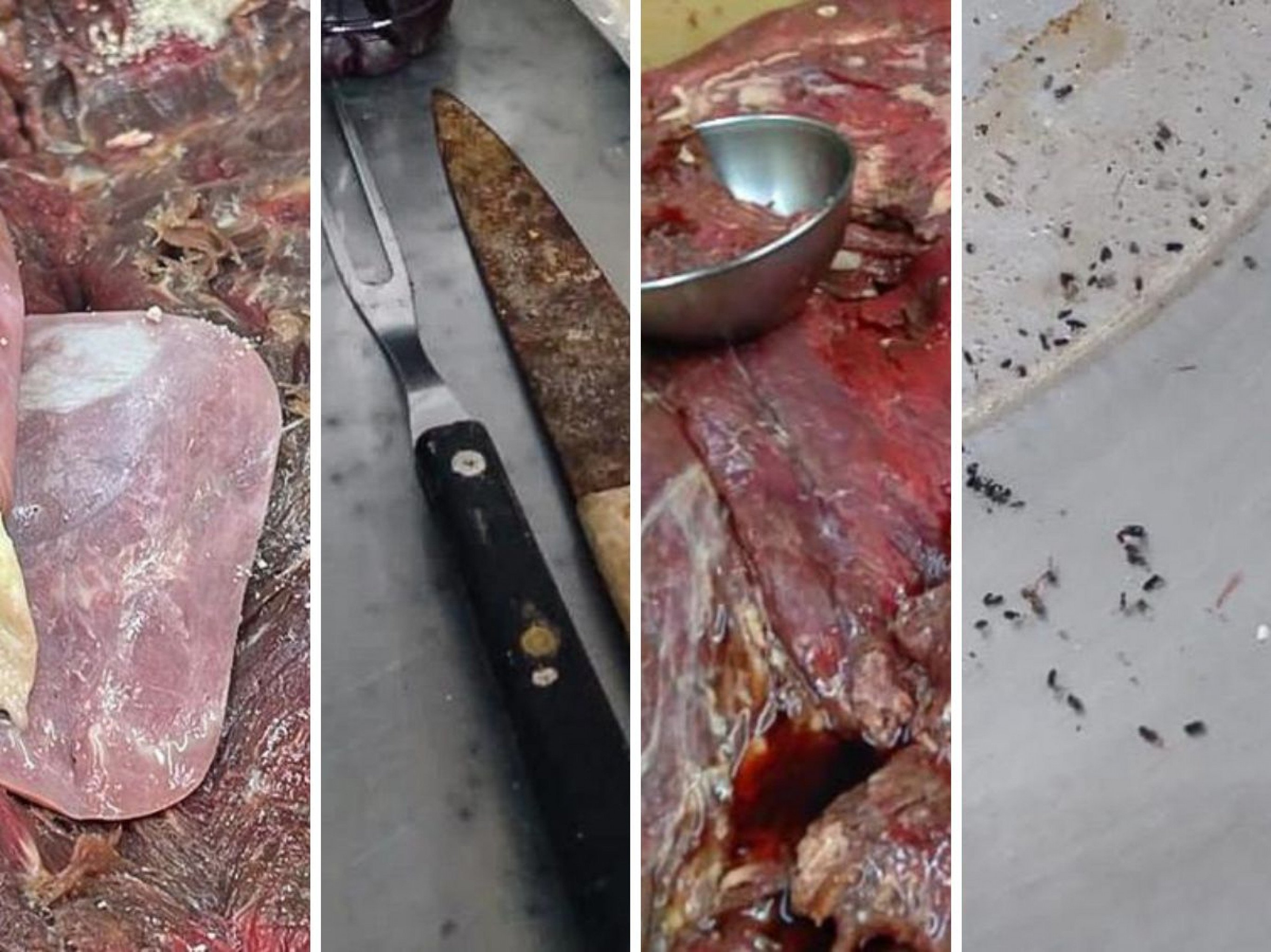 Fezes de ratos dentro de panelas e 385 quilos de alimentos estragados: Tradicional restaurante de Porto Alegre é interditado