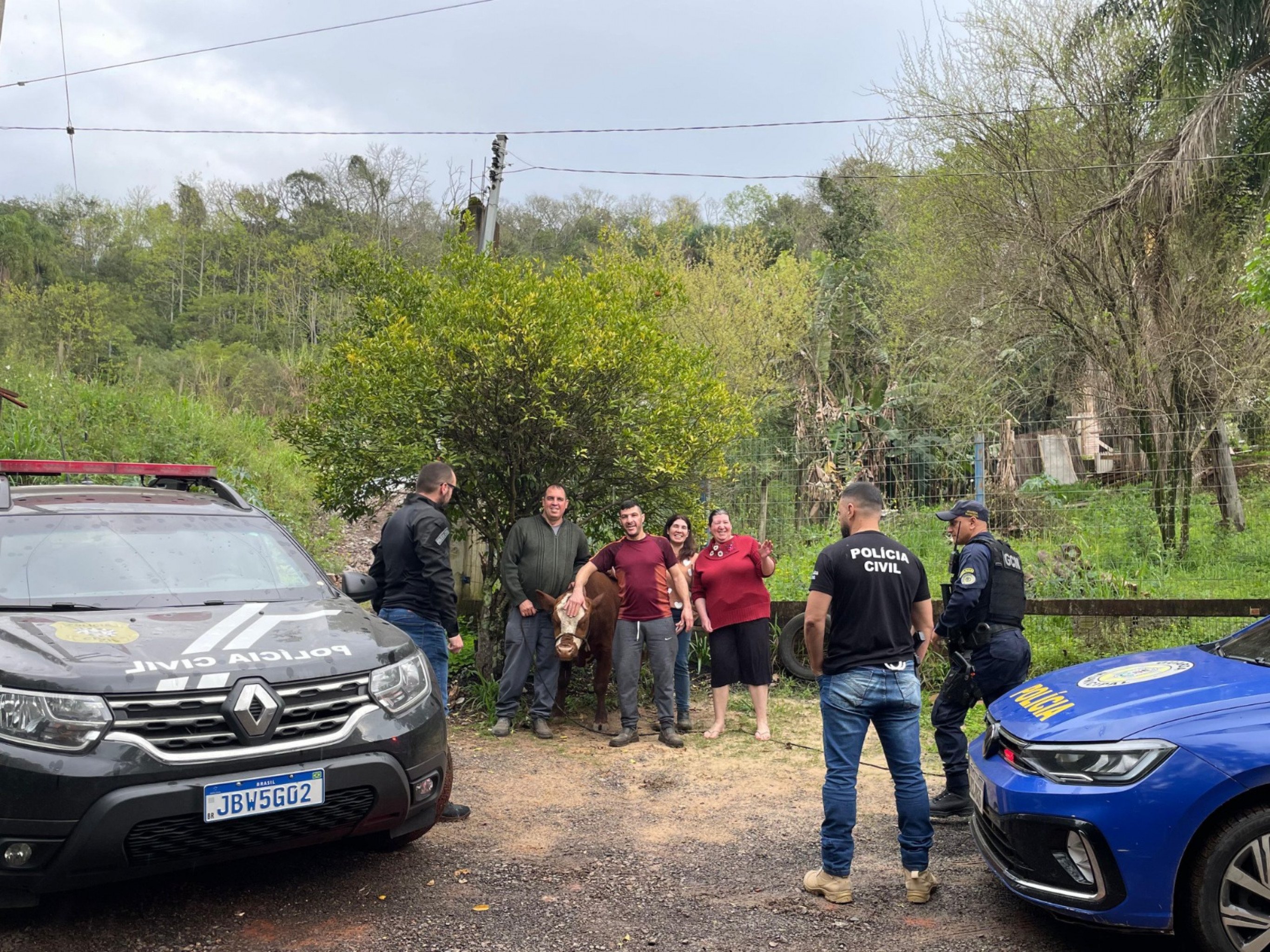 Criminoso de Novo Hamburgo será indiciado por furtar gado em Estância Velha