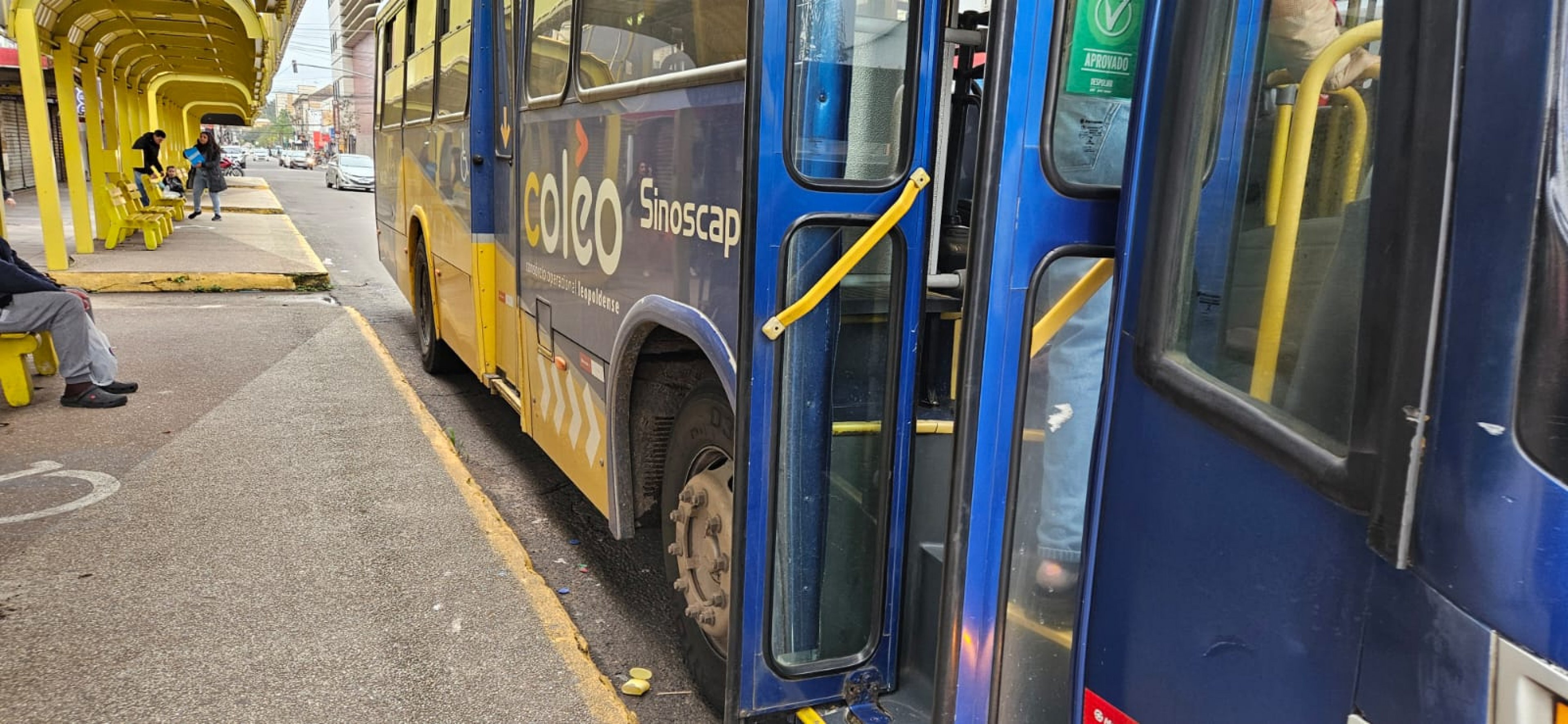 Mulheres terão passe livre nos ônibus leopoldenses neste domingo, 8 de março