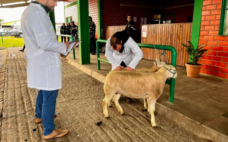 Animais passam por rigorosa inspeção antes de entrar nas baias do parque 