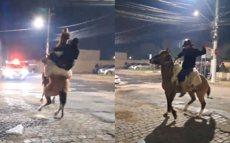 Vídeo flagra homem agredindo cavalo em São Gabriel | abc+