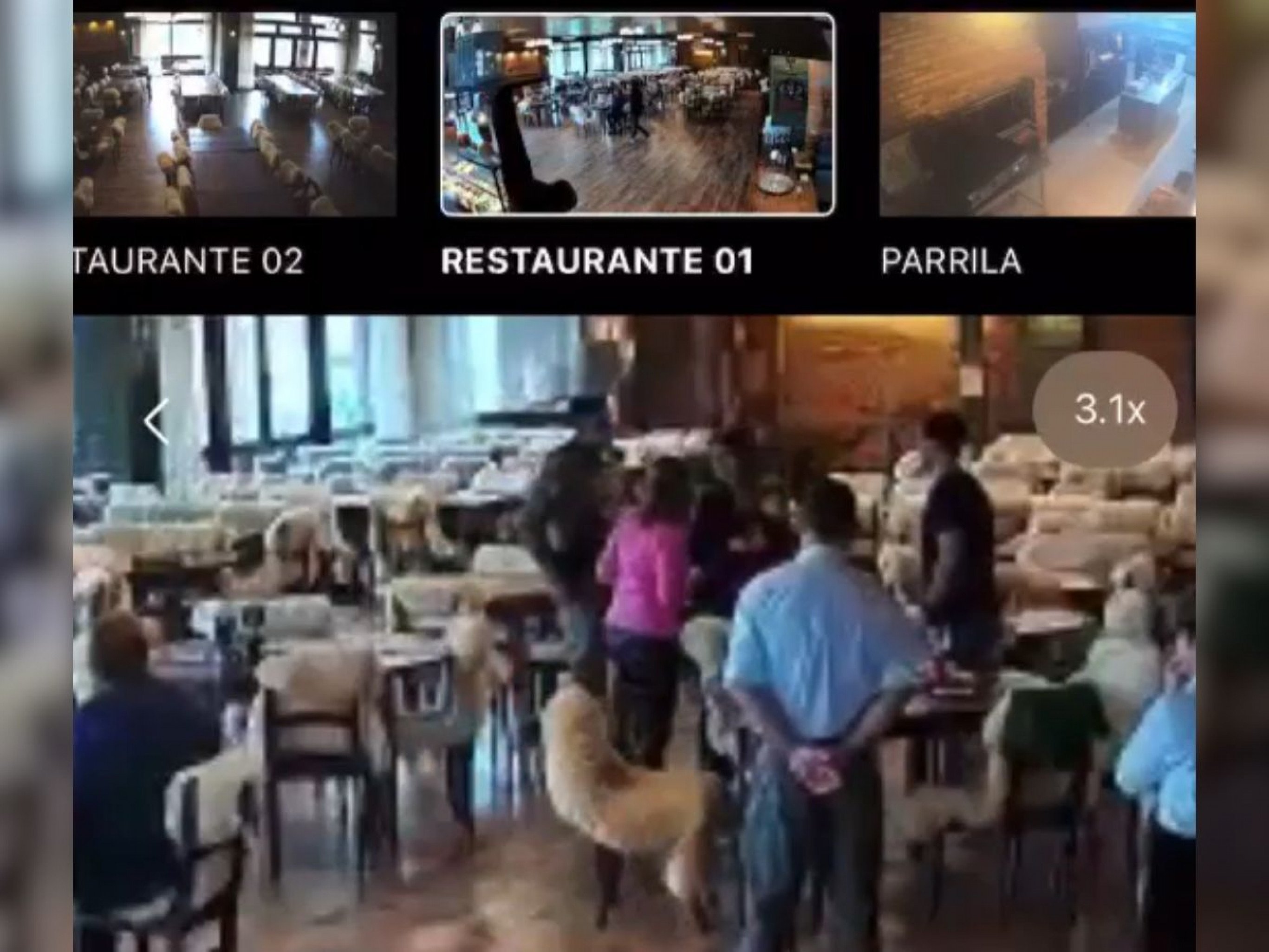 VÍDEO: Bebê de 1 ano engasga durante almoço em restaurante no litoral norte; veja desfecho