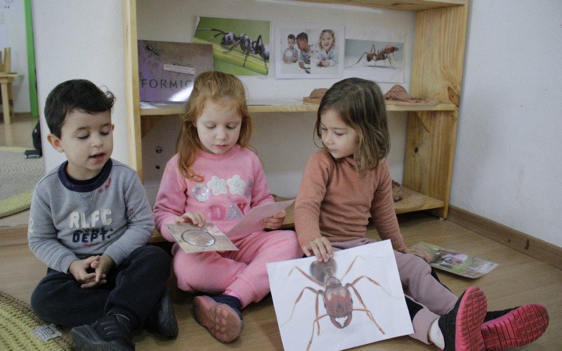 Os alunos Israel, Nicole e Helena detalham a pesquisa | abc+