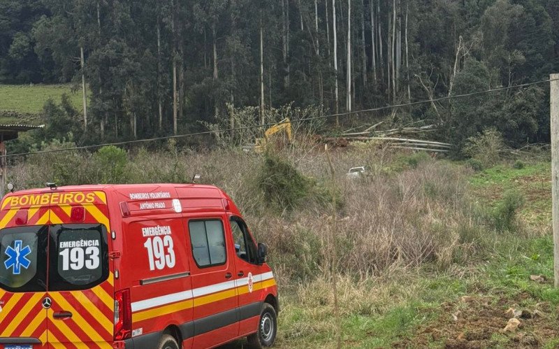 Homem morreu após árvore cair em cima dele em Ipê | abc+
