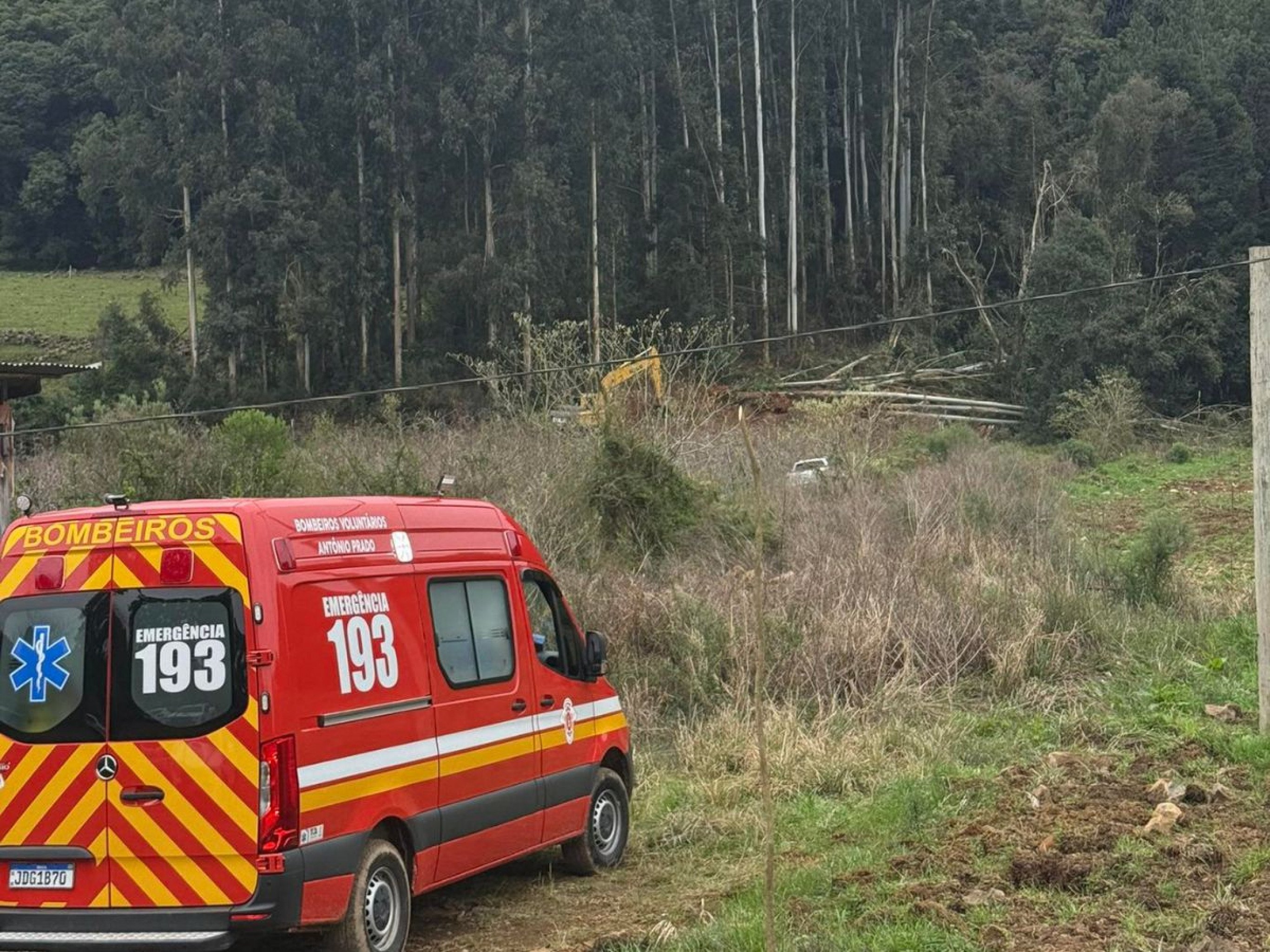 Identificado homem que morreu em queda de árvore na Serra gaúcha
