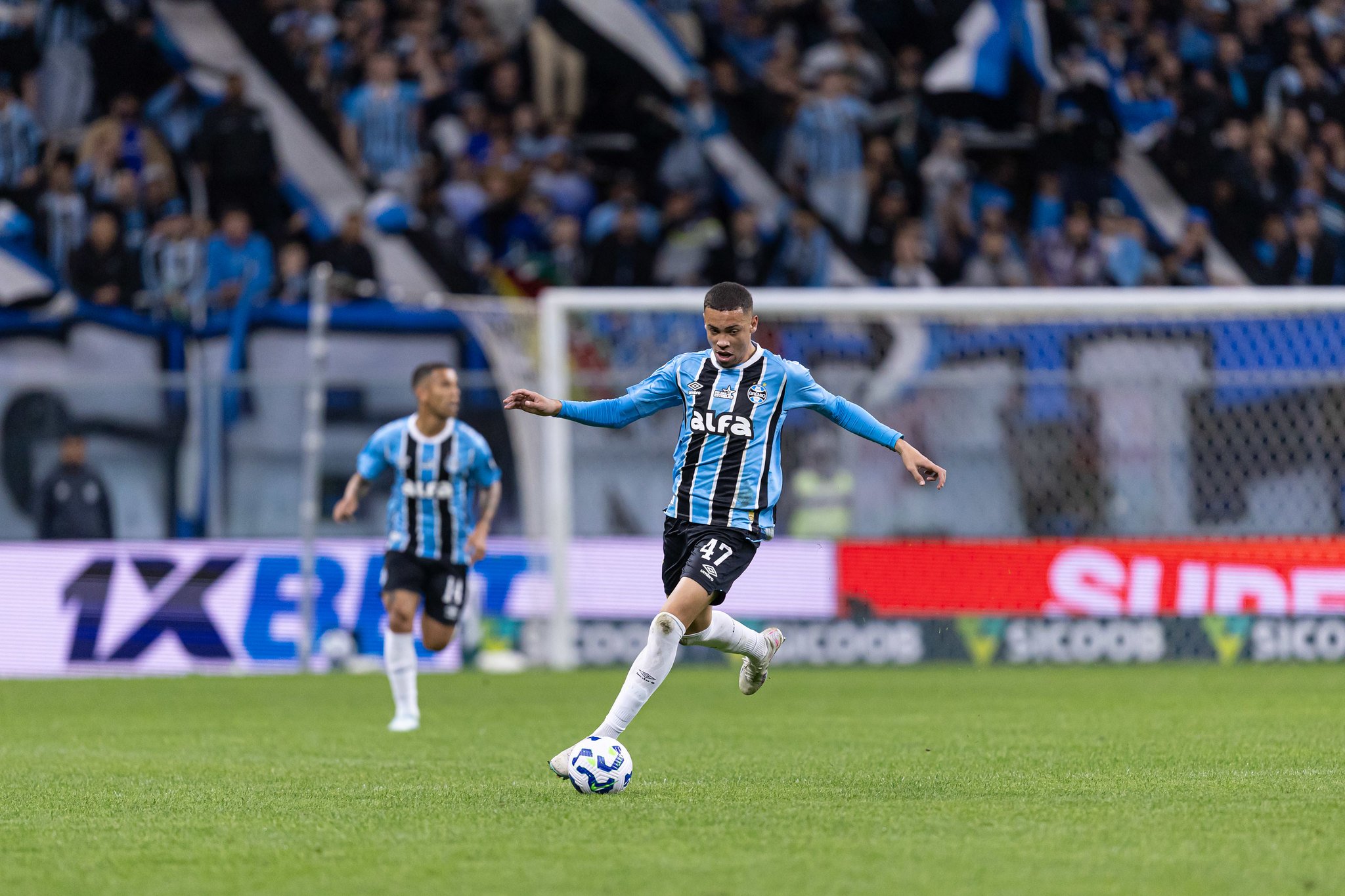 Flamengo x Grêmio: Onde assistir e horário da partida do Brasileirão