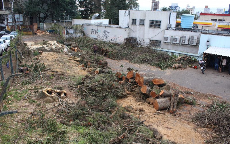 Corte de árvores na Rua Domingos Martins