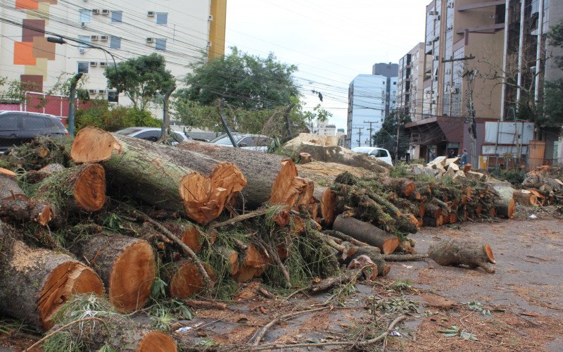 Corte de árvores na Rua Domingos Martins