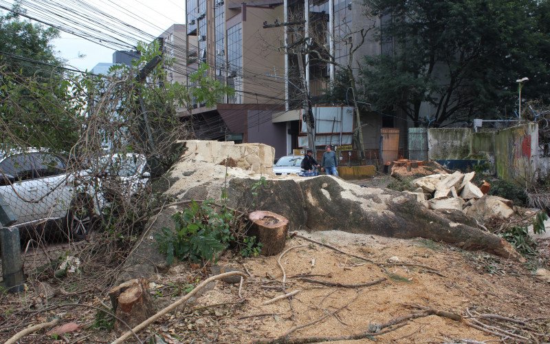 Corte de árvores na Rua Domingos Martins