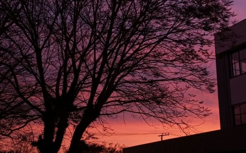 Céu colorido no RS têm explicação científica; entenda o fenômeno