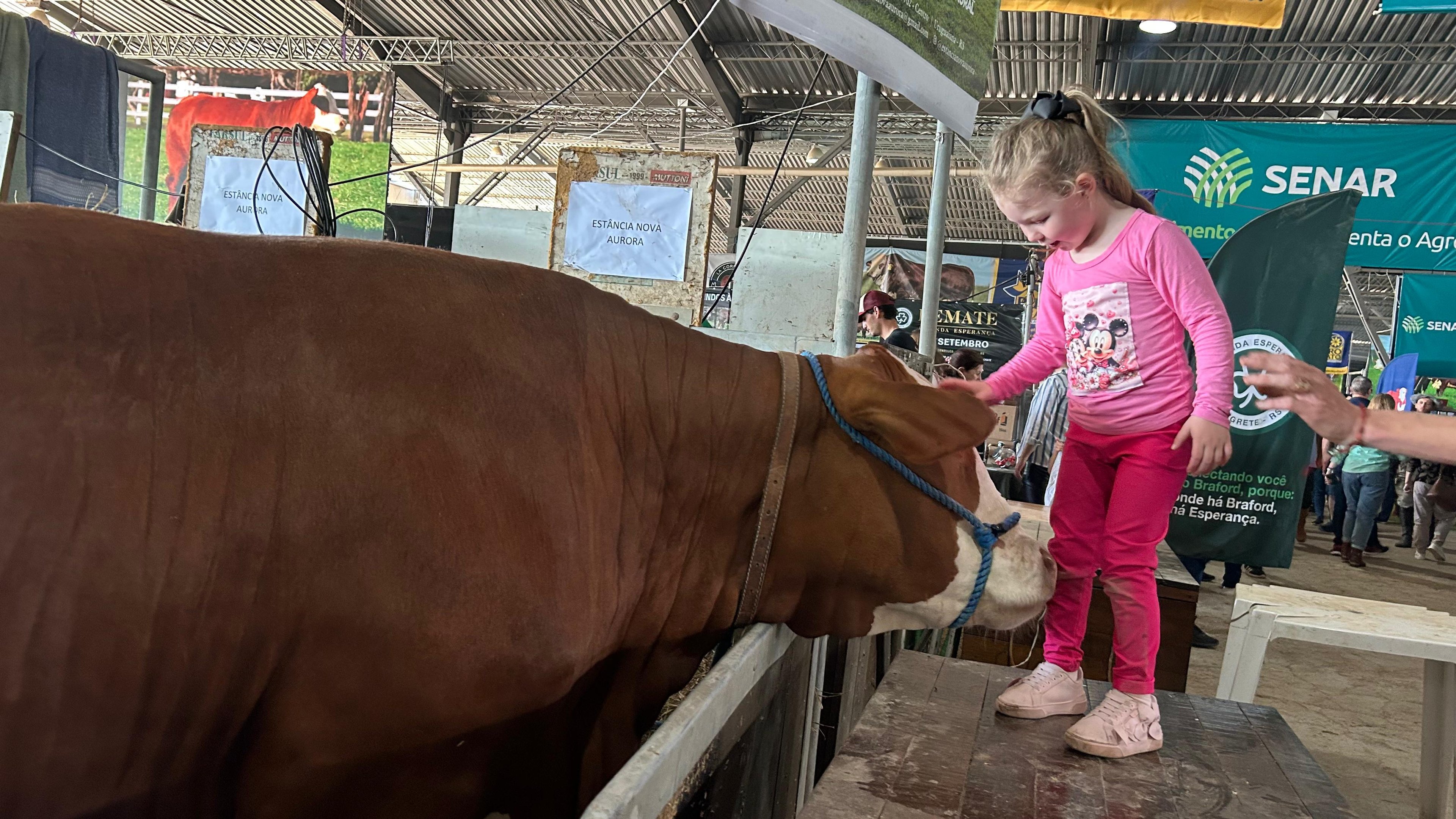 EXPOINTER: Animais encantam adultos e crianças na feira que celebra a agropecuária do RS; veja vídeo
