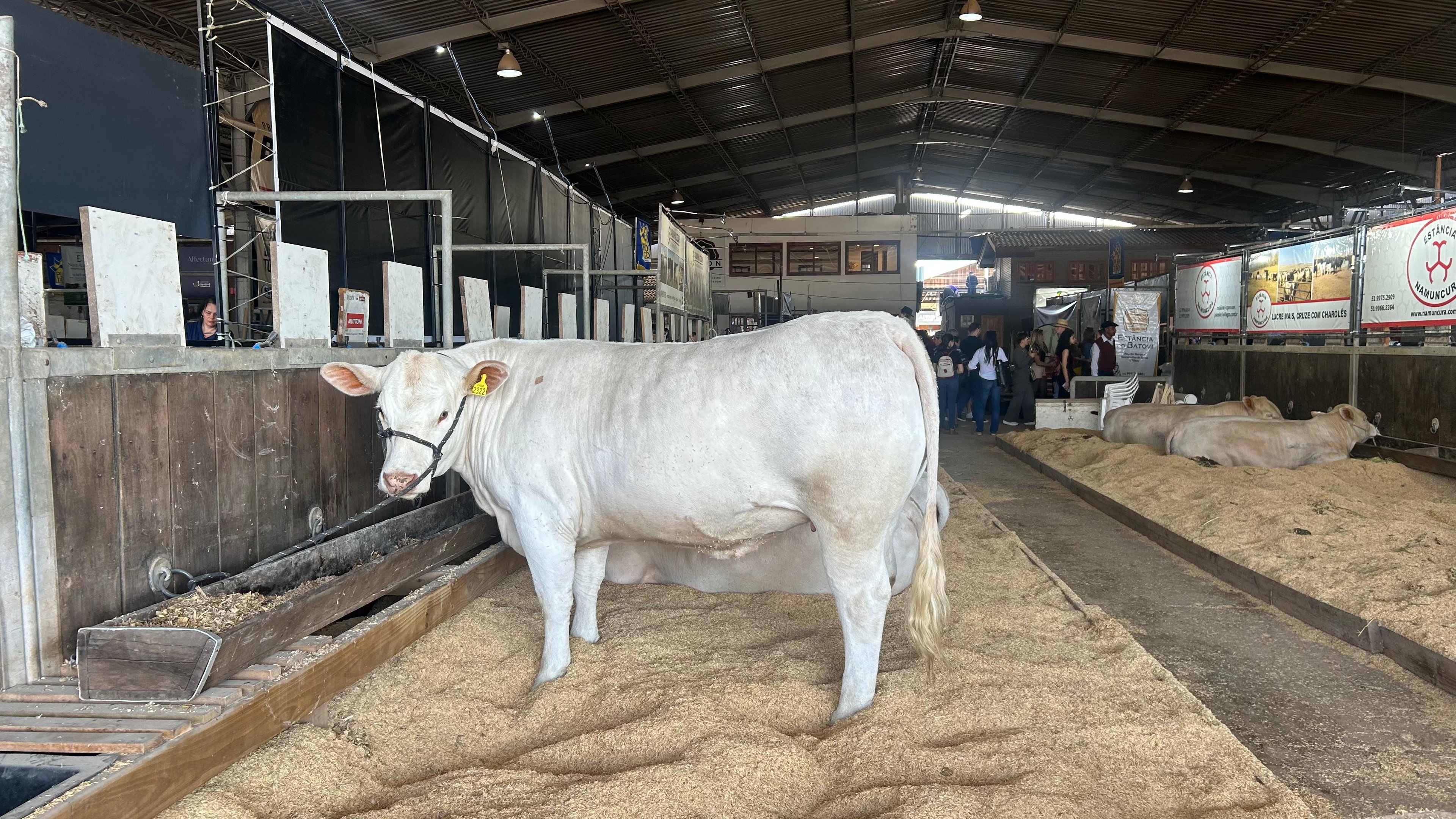 EXPOINTER: Confira fotos do primeiro dia do evento que movimenta Esteio e região