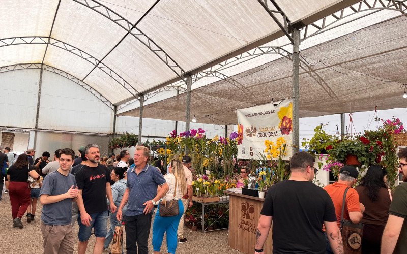 Flores e cores encantam quem passeia pela Expointer | abc+