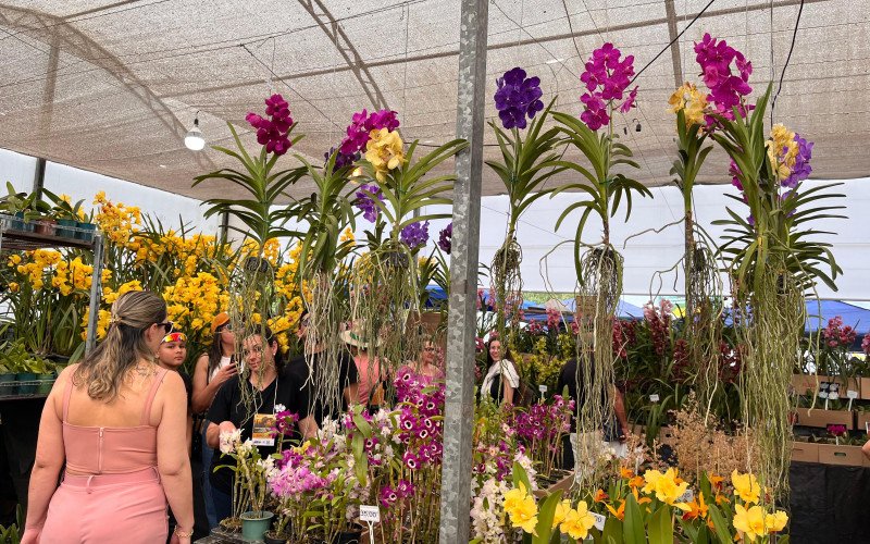 Flores e cores encantam quem passeia pela Expointer | abc+
