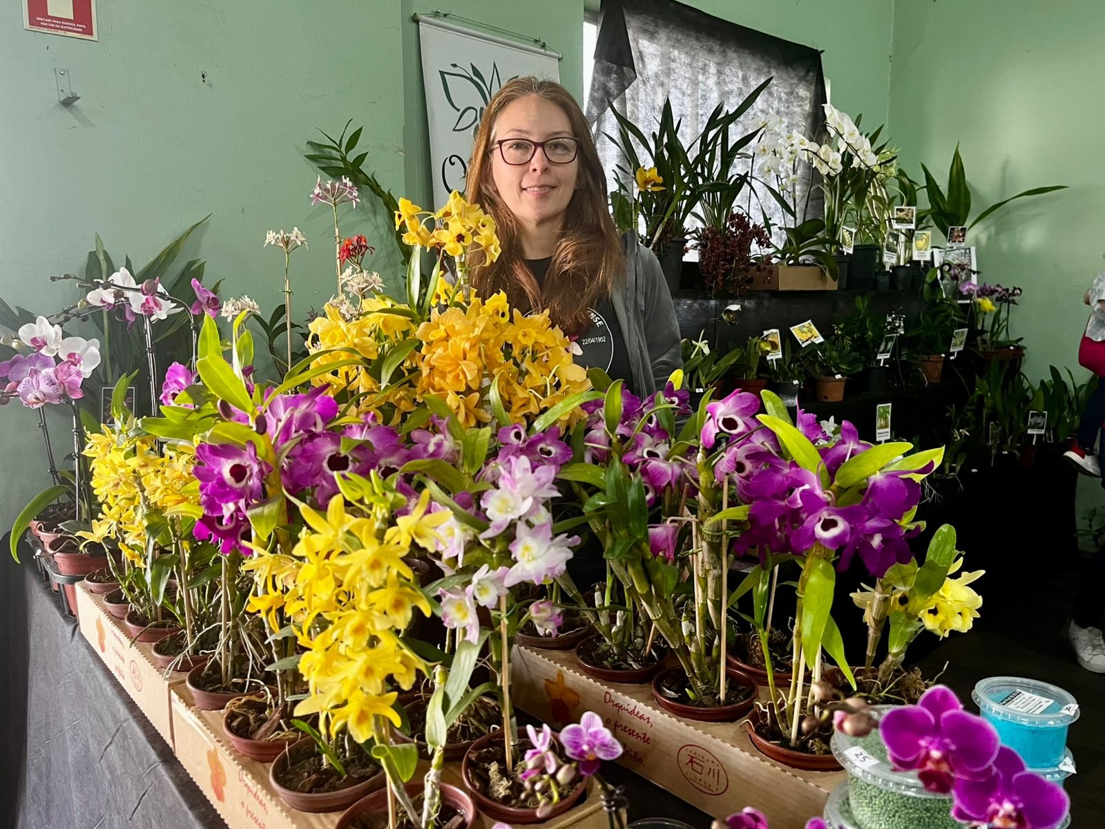Exposição Regional de Orquídeas segue até as 17 horas deste domingo em São Leopoldo