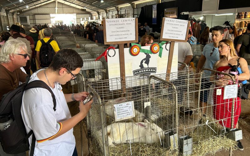 Família de Patrick Olbermann expõe coelhos na Expointer 2025