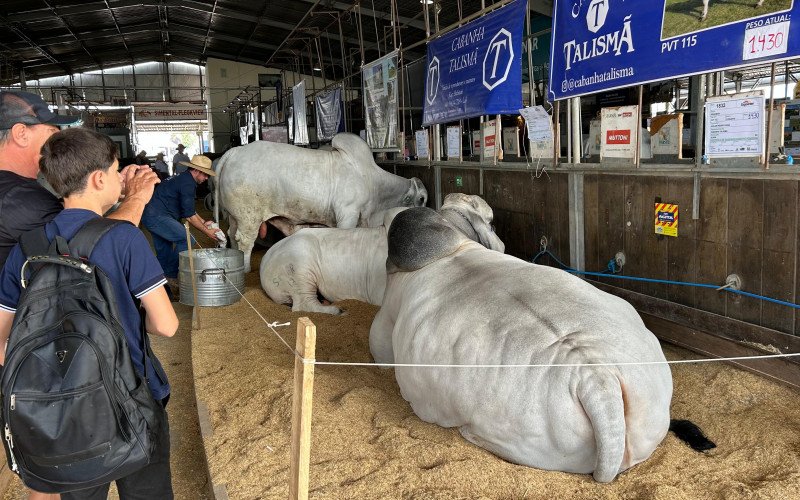 Falcão é uma das principais atrações do evento