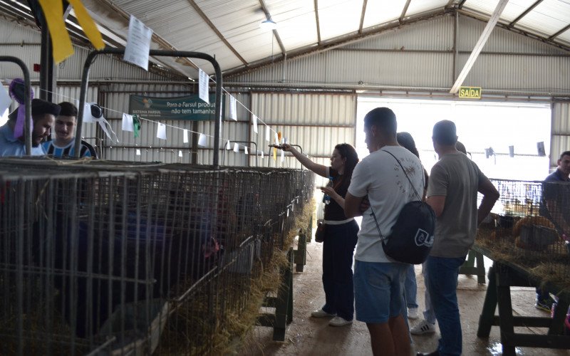 Acadêmicos de Medicina Veterinária da Ulbra nos pavilhoes do Assis Brasil | abc+