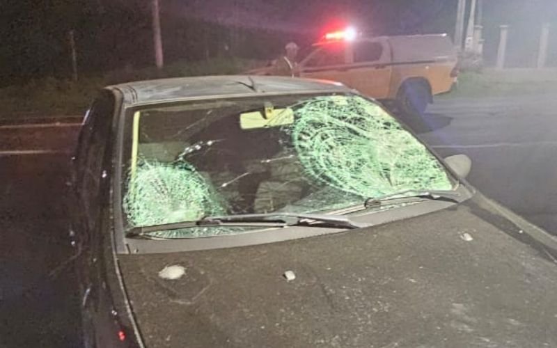 RS-235: Jovem foi arremessada por carro e atropelada por micro-ônibus; polícia identifica a vítima