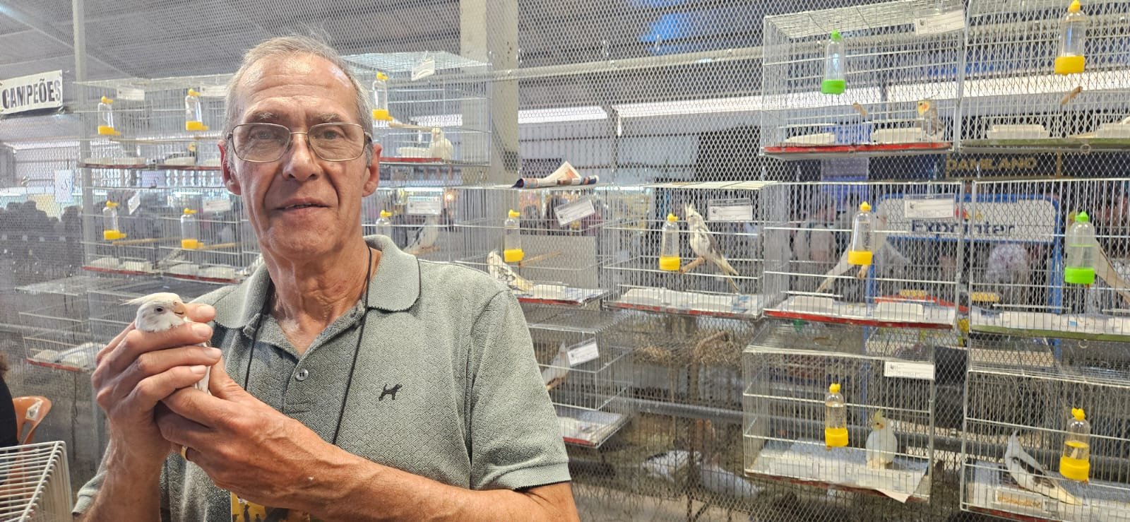 Aves estão de volta à Expointer: Pedro Cordeiro, de Porto Alegre, com um exemplar de calopsita 