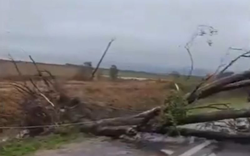VÍDEO: Tornado no RS? O que diz meteorologista sobre fenômeno que causou estragos em cidade gaúcha