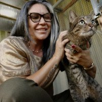 Ex-secretária do Bem-Estar Animal de Canoas é indiciada por eutanásias de centenas de cães e gatos