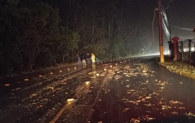 Tráfego é liberado na Estrada do Horto após queda de árvore no trecho de São Leopoldo