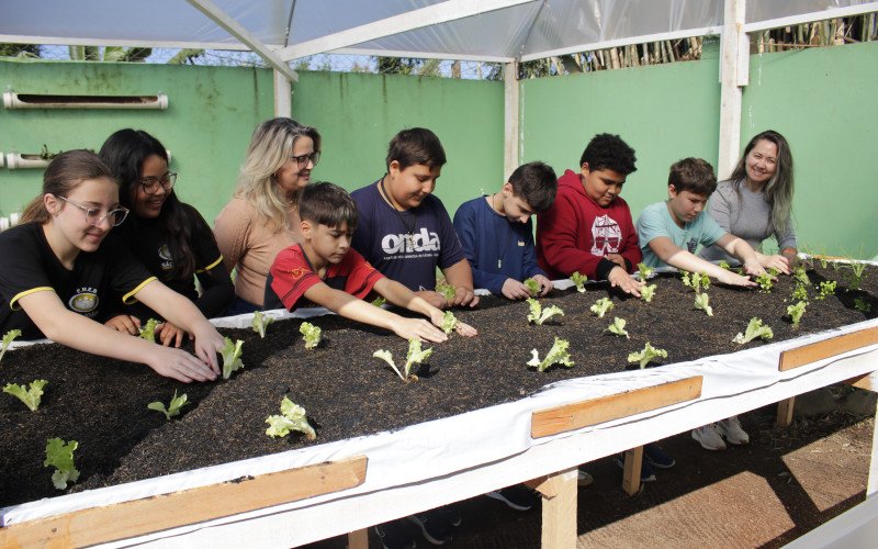 Hortaliças plantadas pelos alunos são usadas na escola | abc+
